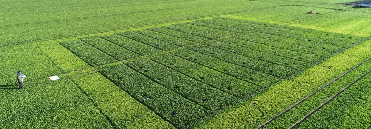Feld, Acker, Landwirtschaft, Anbau, Bauer