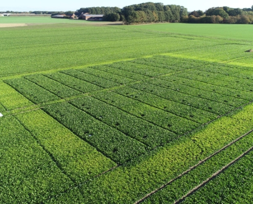 Feld, Acker, Landwirtschaft, Anbau, Bauer