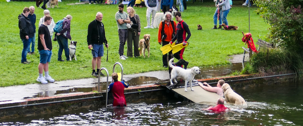 2026-09-21 Hundschwimmen im Waldfreibad Georgsmarienhütte © osradio Christoph Beyer_Titel